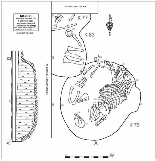 Иллюстрация к книге — Пруссы эпохи викингов. Жизнь и быт общины Каупа [i_118.jpg]