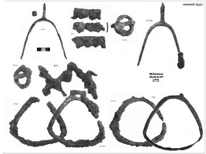 Иллюстрация к книге — Пруссы эпохи викингов. Жизнь и быт общины Каупа [i_123.jpg]