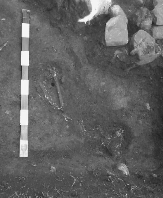 Иллюстрация к книге — Пруссы эпохи викингов. Жизнь и быт общины Каупа [i_127.jpg]