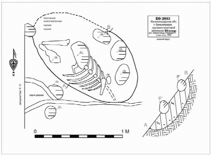 Иллюстрация к книге — Пруссы эпохи викингов. Жизнь и быт общины Каупа [i_137.jpg]