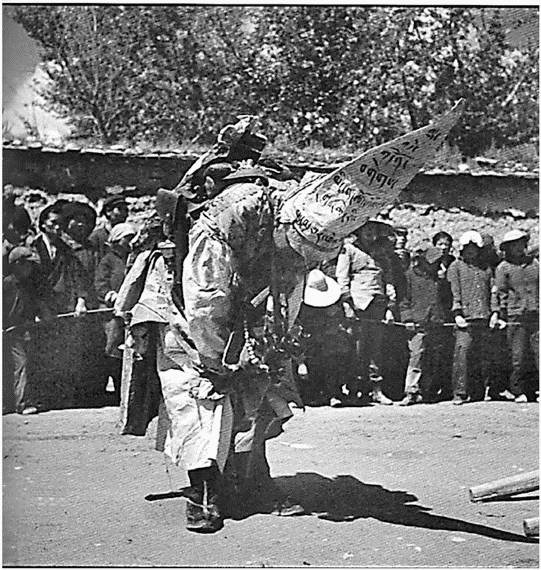 Иллюстрация к книге — Скрытый Тибет. История независимости и оккупации [i_070.jpg]