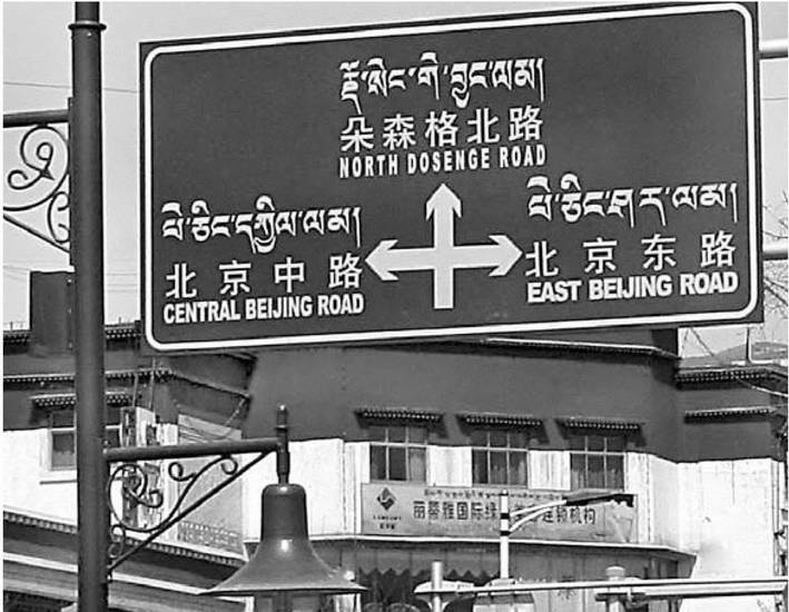 Иллюстрация к книге — Скрытый Тибет. История независимости и оккупации [i_100.jpg]