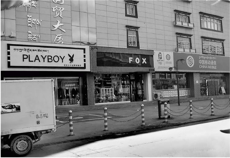 Иллюстрация к книге — Скрытый Тибет. История независимости и оккупации [i_102.jpg]