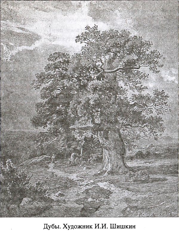 Иллюстрация к книге — Предания русского народа [i_004.jpg]