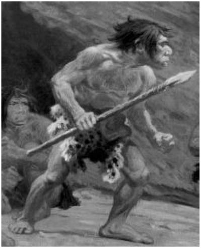 Иллюстрация к книге — Доисторическая Европа [i_009.jpg]