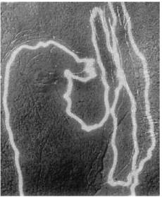 Иллюстрация к книге — Доисторическая Европа [i_017.jpg]