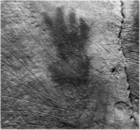 Иллюстрация к книге — Доисторическая Европа [i_020.jpg]