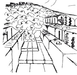 Иллюстрация к книге — Друиды Русского Севера [i_011.jpg]