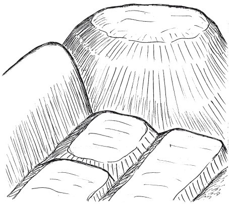 Иллюстрация к книге — Друиды Русского Севера [i_014.jpg]