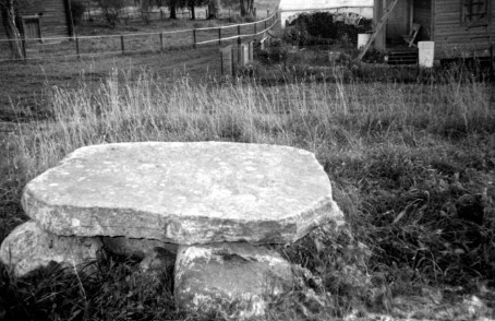 Иллюстрация к книге — Друиды Русского Севера [i_033.jpg]