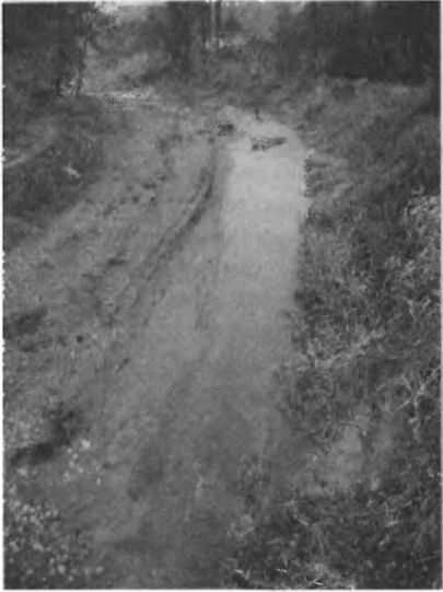 Иллюстрация к книге — Игры, угодные богам [_019.jpg]