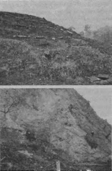 Иллюстрация к книге — Игры, угодные богам [_023.jpg]