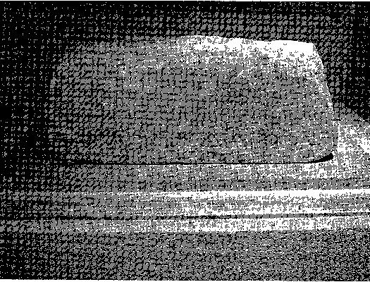 Иллюстрация к книге — Игры, угодные богам [_037.jpg]