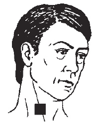 Иллюстрация к книге — О чем говорят симптомы [i_008.jpg]