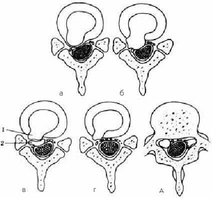 Иллюстрация к книге — О чем говорят симптомы [i_018.jpg]