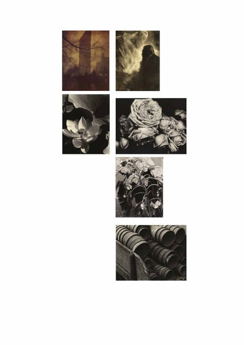 Иллюстрация к книге — Лекции по истории фотографии [i_045.jpg]