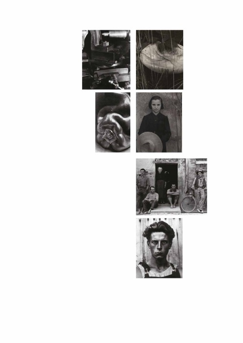 Иллюстрация к книге — Лекции по истории фотографии [i_050.jpg]