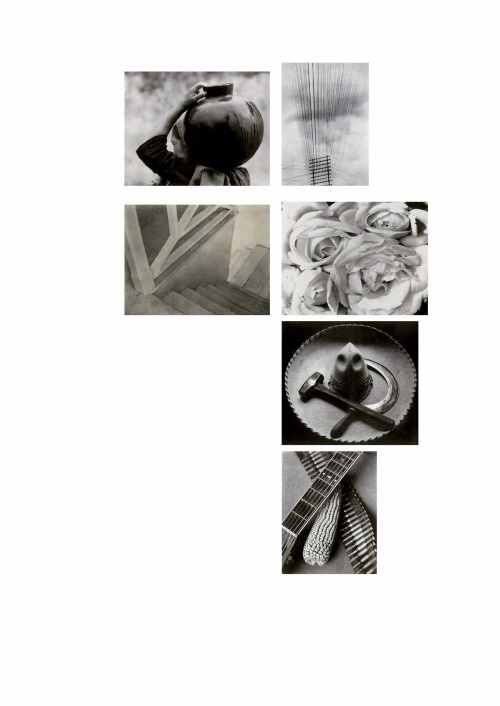 Иллюстрация к книге — Лекции по истории фотографии [i_054.jpg]