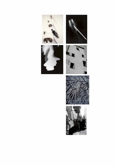 Иллюстрация к книге — Лекции по истории фотографии [i_062.jpg]