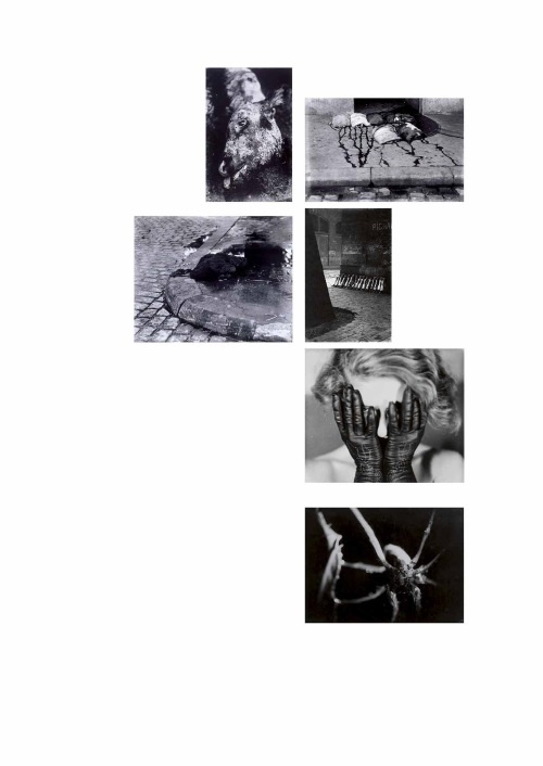 Иллюстрация к книге — Лекции по истории фотографии [i_072.jpg]