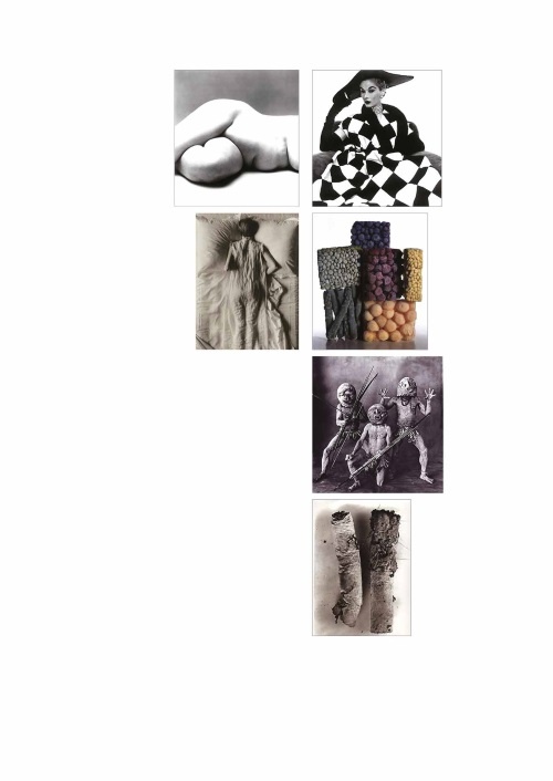 Иллюстрация к книге — Лекции по истории фотографии [i_127.jpg]