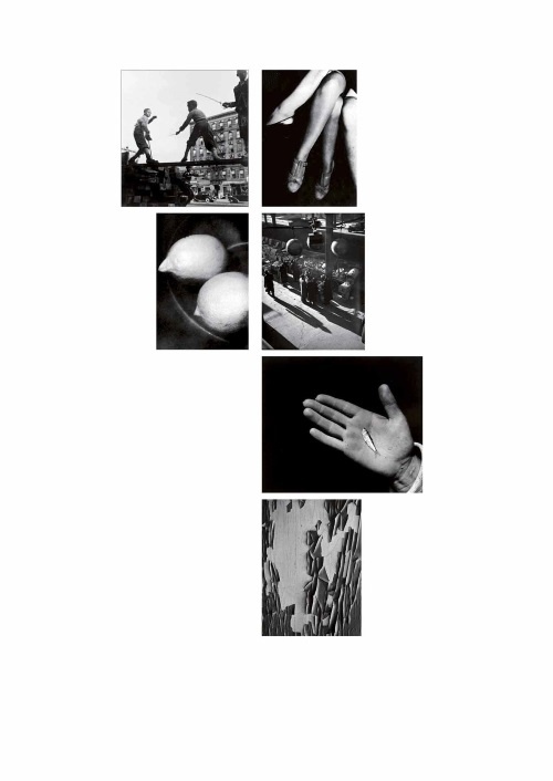 Иллюстрация к книге — Лекции по истории фотографии [i_138.jpg]