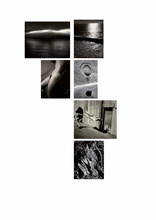 Иллюстрация к книге — Лекции по истории фотографии [i_140.jpg]