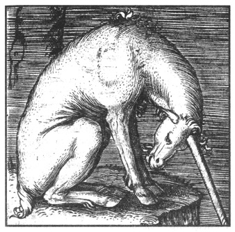 Иллюстрация к книге — Герои и чудеса Средних веков [pic_11.jpg]