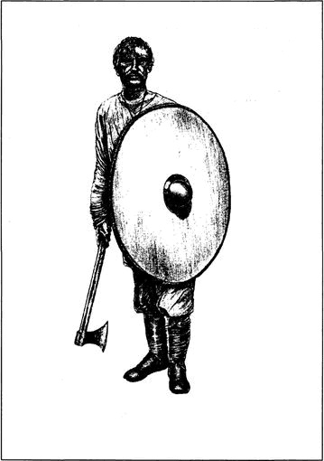 Иллюстрация к книге — Викинги. Походы, открытия, культура [i_008.jpg]