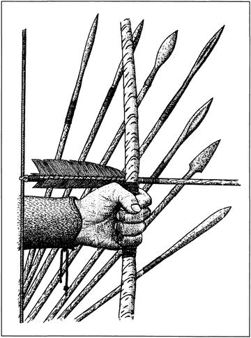 Иллюстрация к книге — Викинги. Походы, открытия, культура [i_049.jpg]