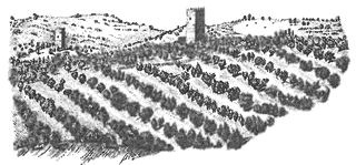 Иллюстрация к книге — Испания. История страны [i_028.jpg]