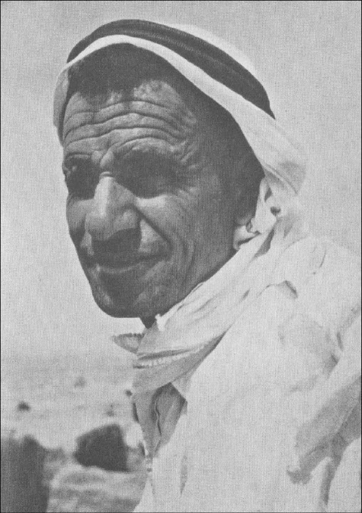 Иллюстрация к книге — Древние ассирийцы. Покорители народов [i_014.jpg]