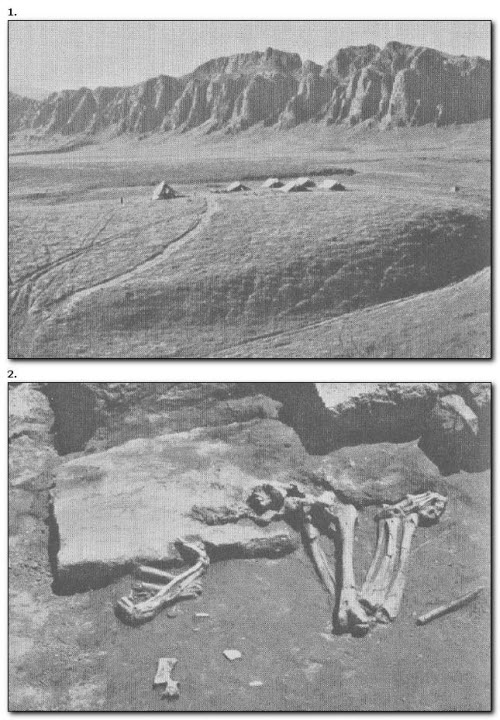 Иллюстрация к книге — Древние ассирийцы. Покорители народов [i_025.jpg]