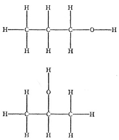 Иллюстрация к книге — Что такое жизнь? [i_015.jpg]