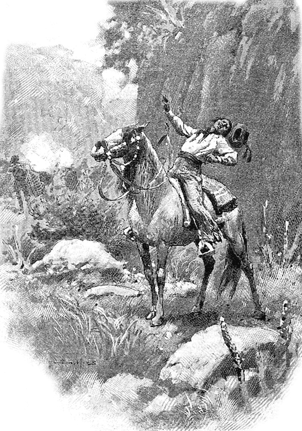 Иллюстрация к книге — Одинокое ранчо (сборник) [i_014.jpg]