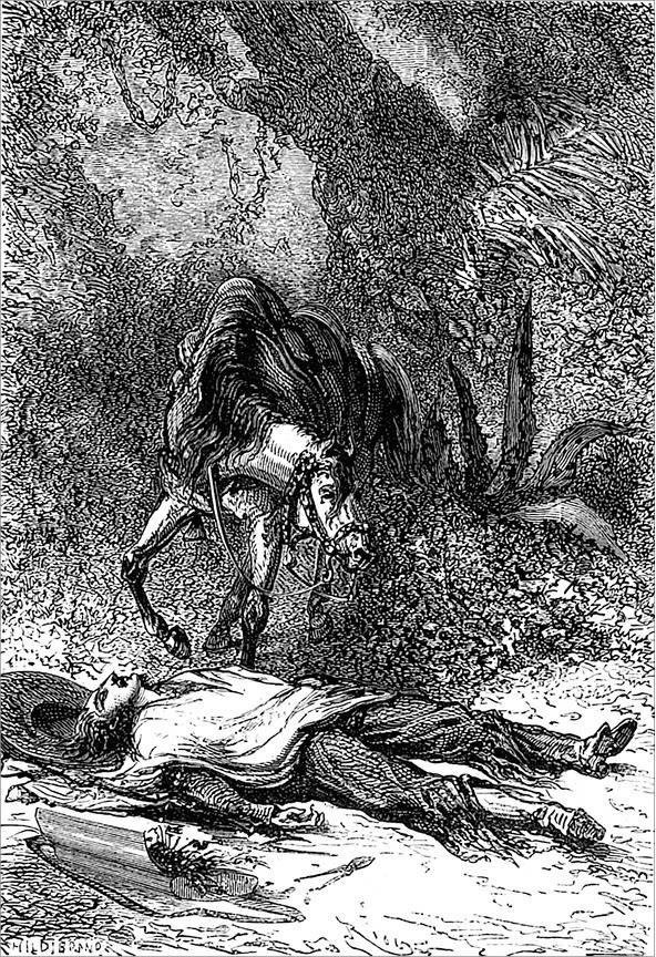 Иллюстрация к книге — Гаспар-гаучо. Затерявшаяся гора [i_004.jpg]