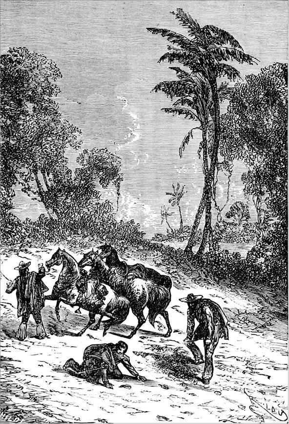 Иллюстрация к книге — Гаспар-гаучо. Затерявшаяся гора [i_017.jpg]