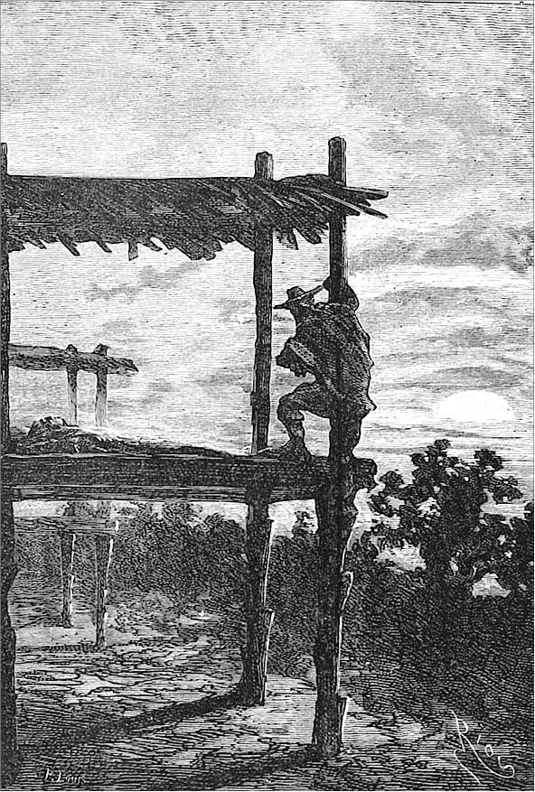 Иллюстрация к книге — Гаспар-гаучо. Затерявшаяся гора [i_019.jpg]