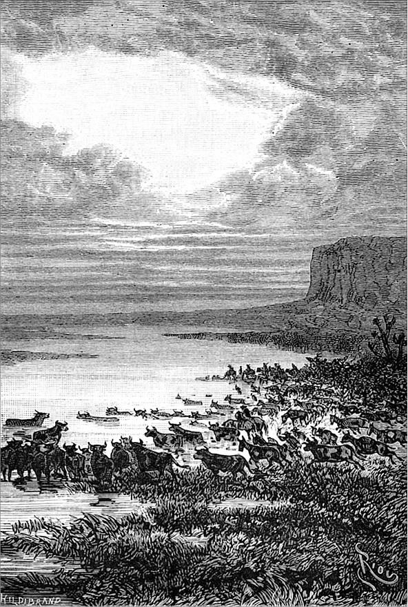 Иллюстрация к книге — Гаспар-гаучо. Затерявшаяся гора [i_029.jpg]