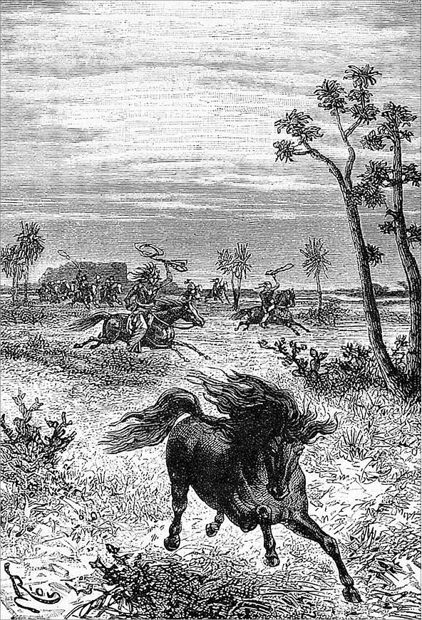 Иллюстрация к книге — Гаспар-гаучо. Затерявшаяся гора [i_035.jpg]