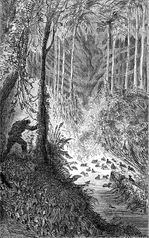 Иллюстрация к книге — Жилище в пустыне (сборник) [i_014.jpg]