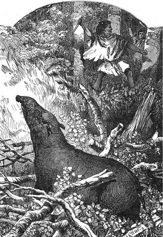 Иллюстрация к книге — Жилище в пустыне (сборник) [i_028.jpg]