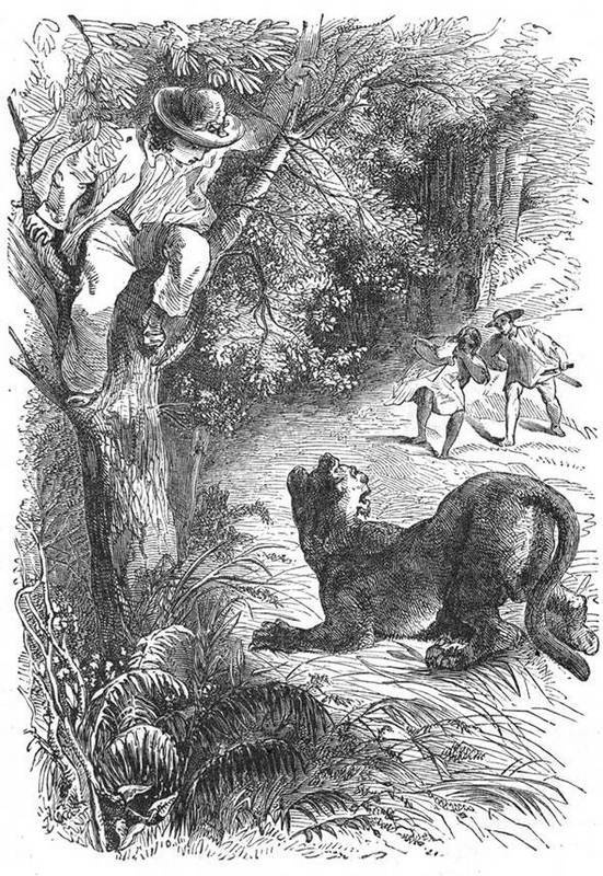 Иллюстрация к книге — Жилище в пустыне (сборник) [i_030.jpg]