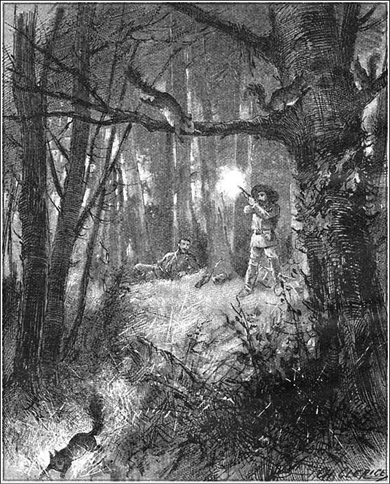 Иллюстрация к книге — Адское ущелье. Канадские охотники (сборник) [i_027.jpg]