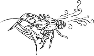 Иллюстрация к книге — О лебединых крыльях, котах и чудесах [i_001.jpg]