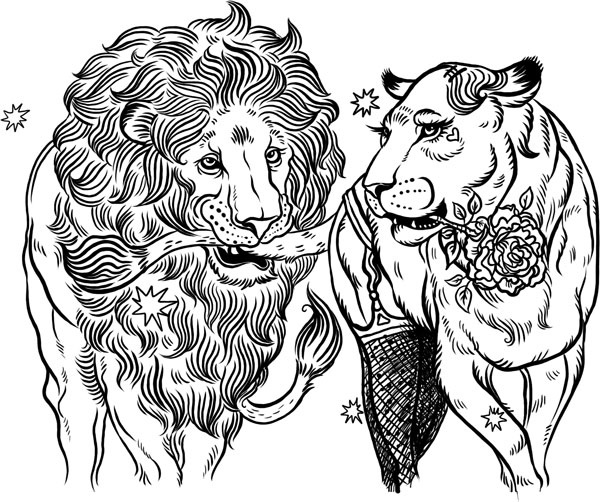 Иллюстрация к книге — О лебединых крыльях, котах и чудесах [i_008.jpg]