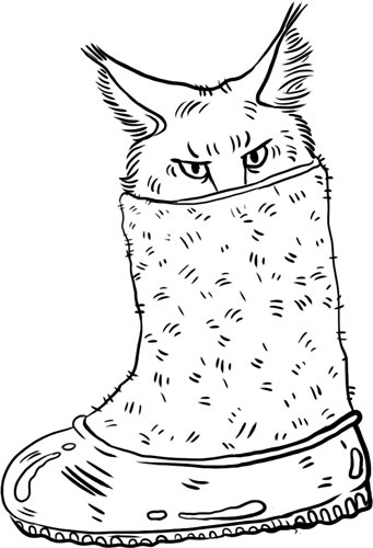 Иллюстрация к книге — О лебединых крыльях, котах и чудесах [i_014.jpg]