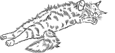 Иллюстрация к книге — О лебединых крыльях, котах и чудесах [i_029.jpg]