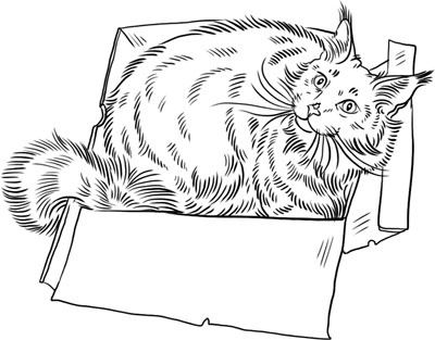 Иллюстрация к книге — О лебединых крыльях, котах и чудесах [i_030.jpg]