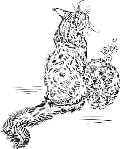 Иллюстрация к книге — О лебединых крыльях, котах и чудесах [i_031.jpg]